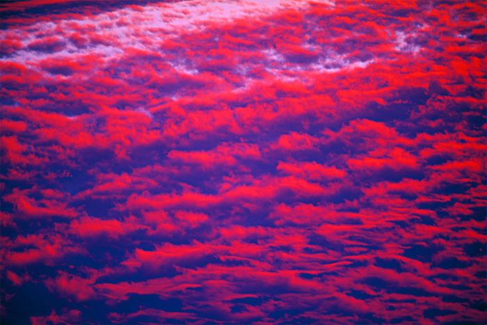 Magic Carpet 1