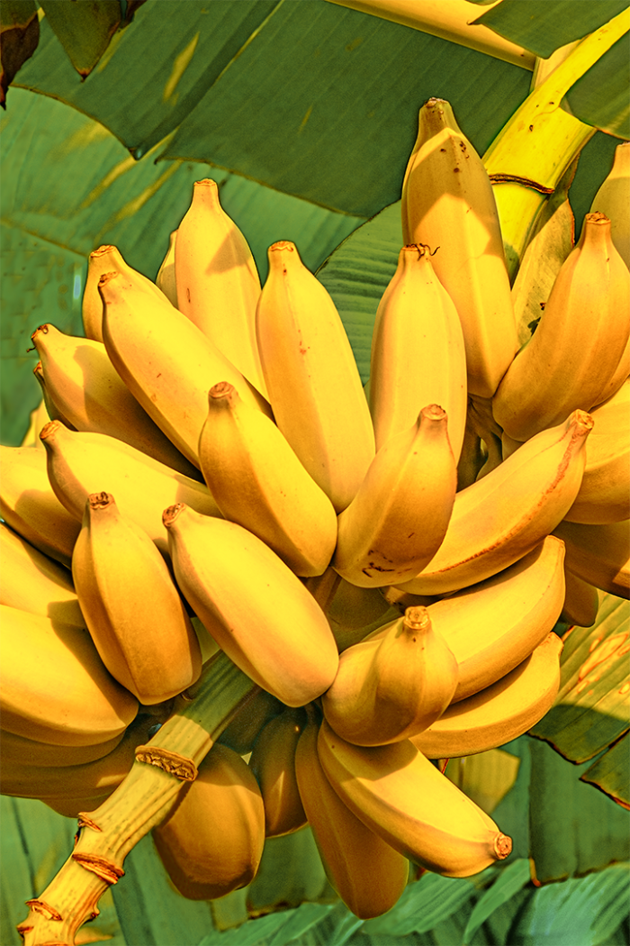 Mass A-Peel