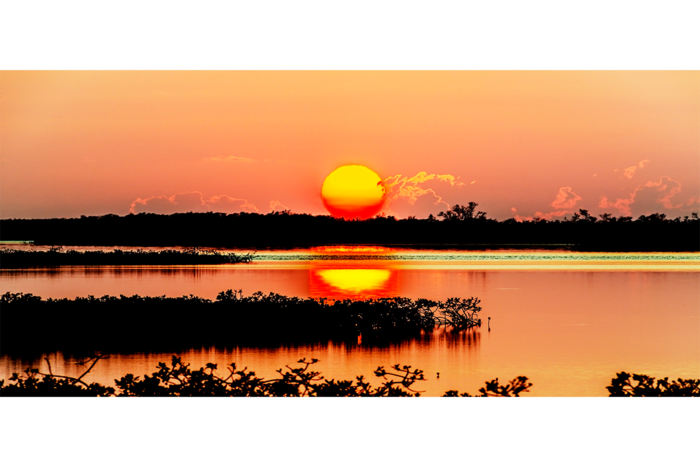 Mid-Summer Night’s Dream - Image 2