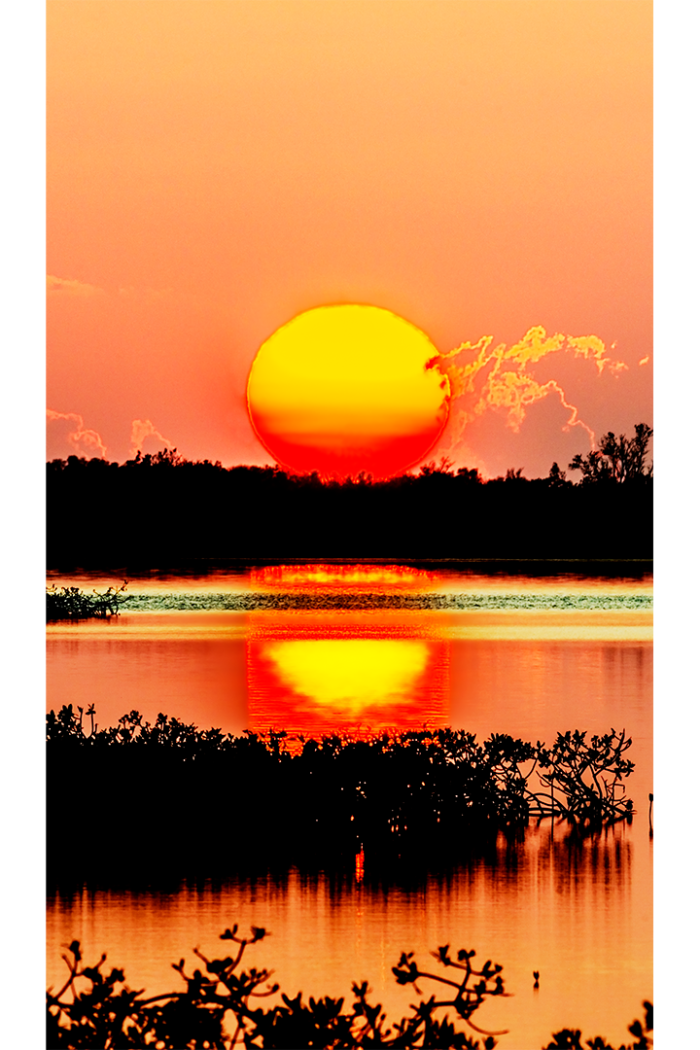 Mid-Summer Night’s Dream V - Image 2