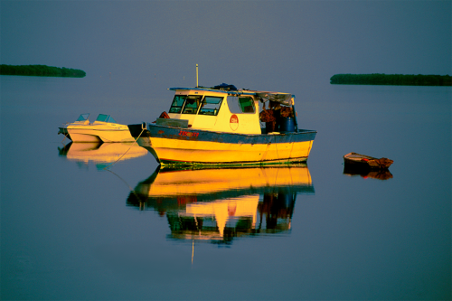 Mirror Image