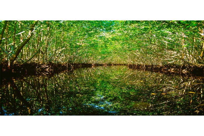 Natural Surroundings 2 - Image 2