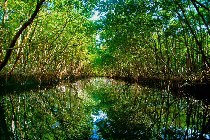 Natural Surroundings 3