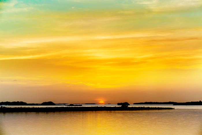 Naturally Radiant 2