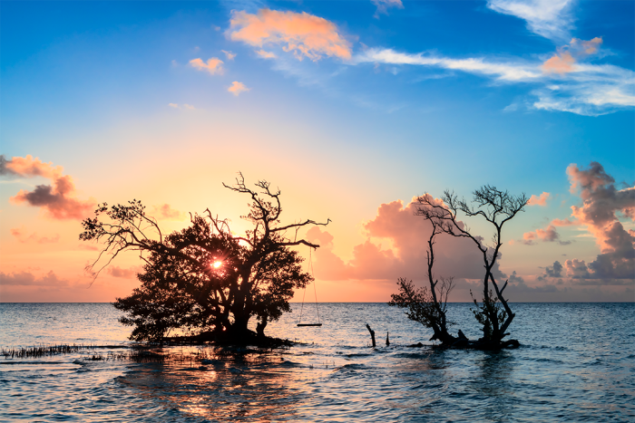 Nature’s Playground