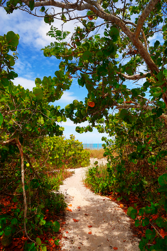 Naturopath