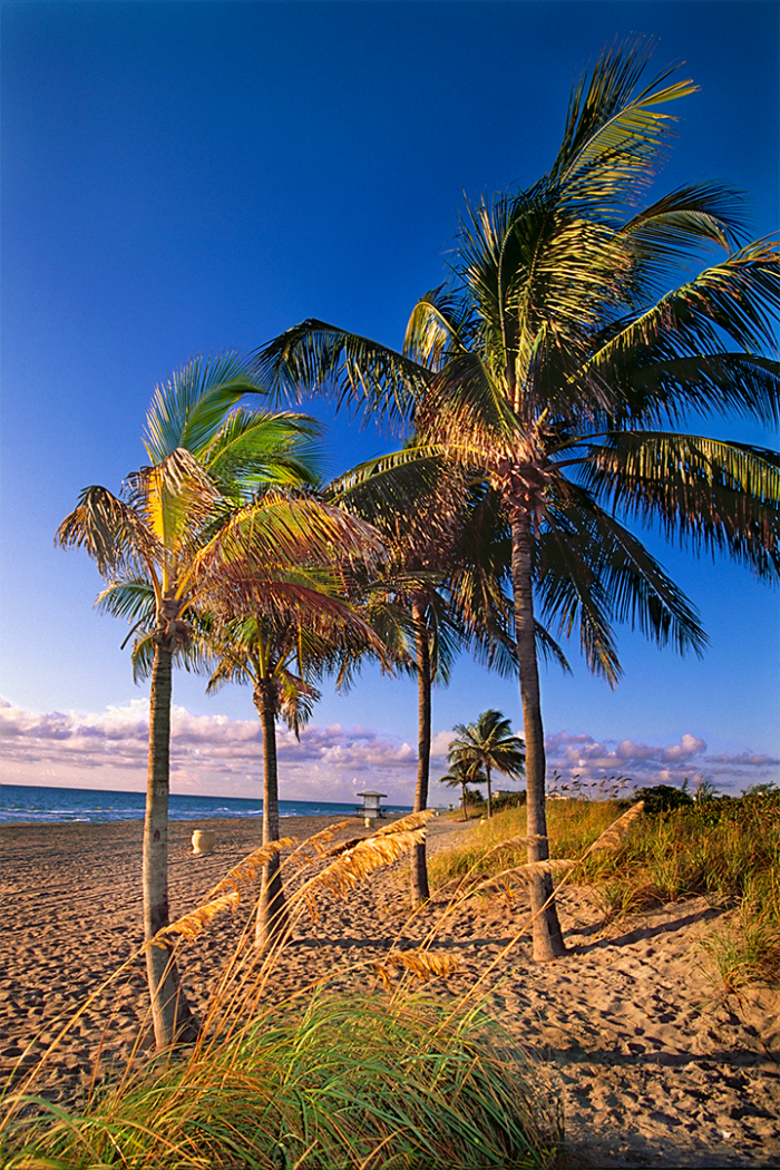 North Beach