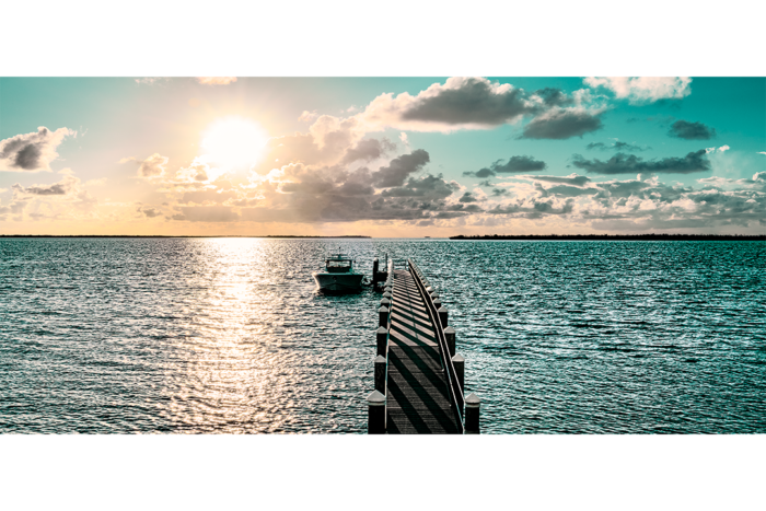 Painted by the Sun - Image 2