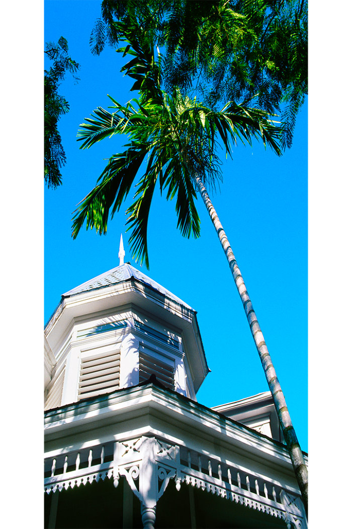 Palm House - Image 2