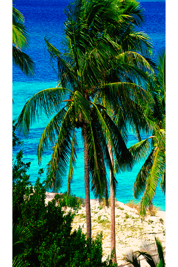 Paradise Found V - Image 2