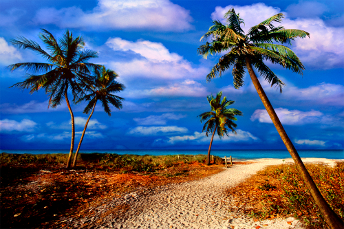 Paradise Isle