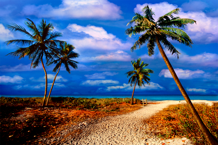 Paradise Isle