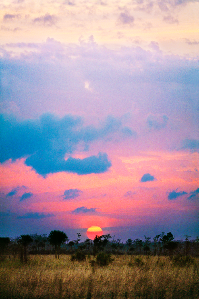 Pastels on the Prairie