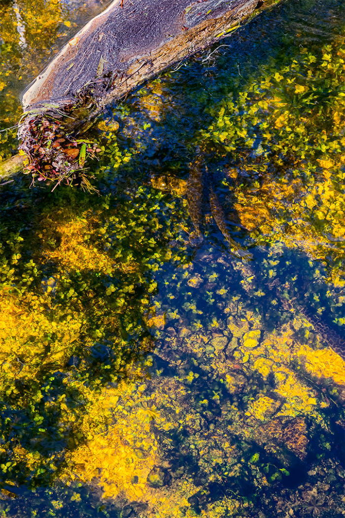 Patterns on the Prairie 1 V