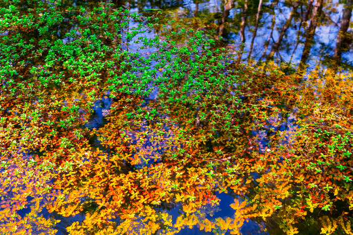 Patterns on the Prairie 3