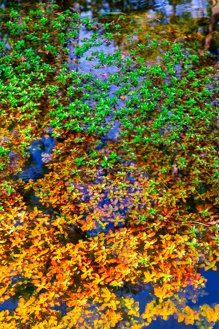 Patterns on the Prairie 3 V