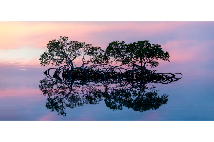Peace of Mind - Image 2