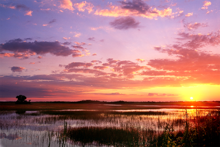 Peace on the Prairie