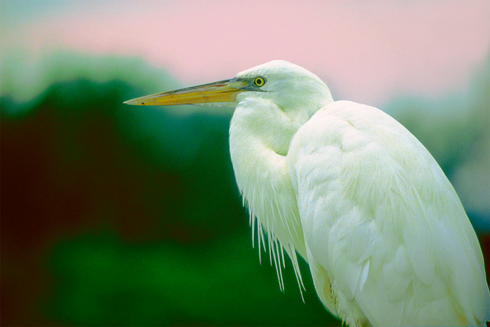 Pensive Moment