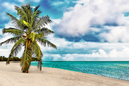 Portrait of Paradise