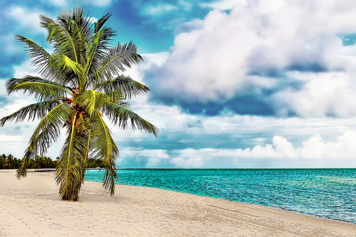 Portrait of Paradise