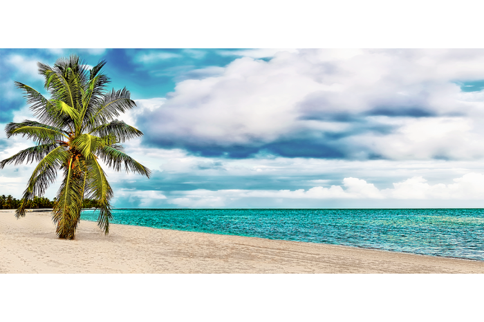 Portrait of Paradise - Image 2