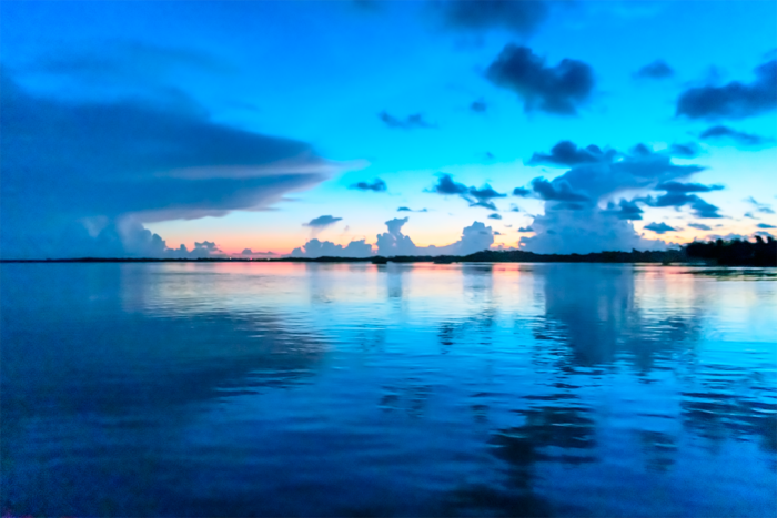 Pre-Dawn Blues
