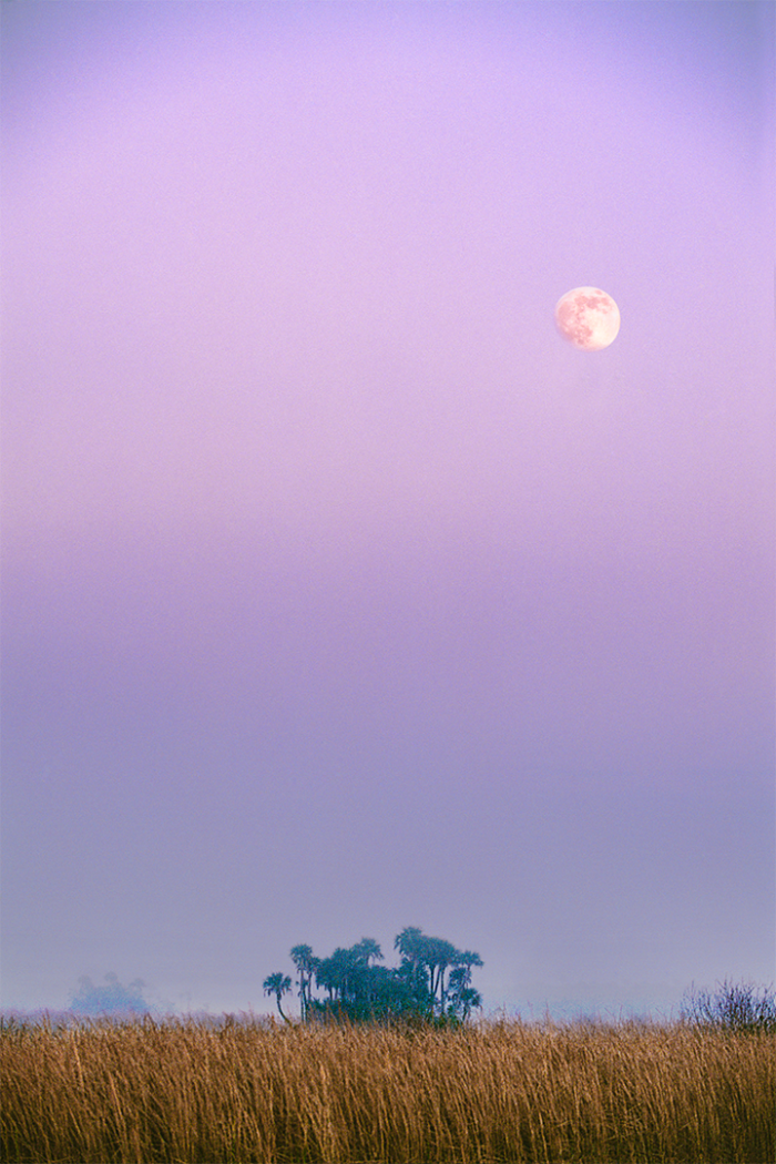Realm of Twilight
