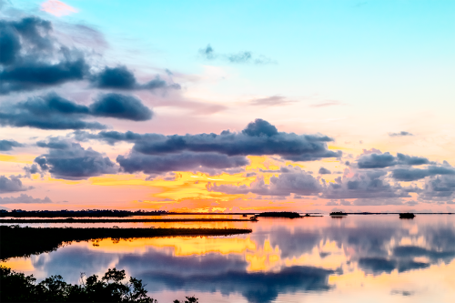 Reflections on a Dream