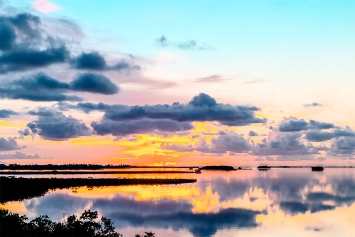 Reflections on a Dream