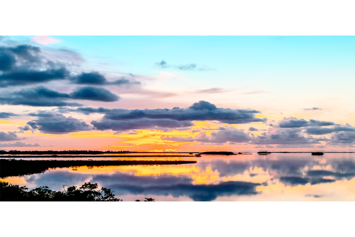 Reflections on a Dream - Image 2