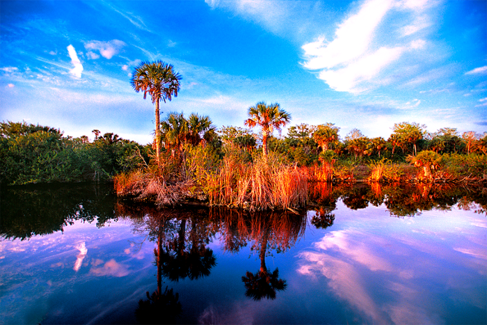 Reflections of Twilight