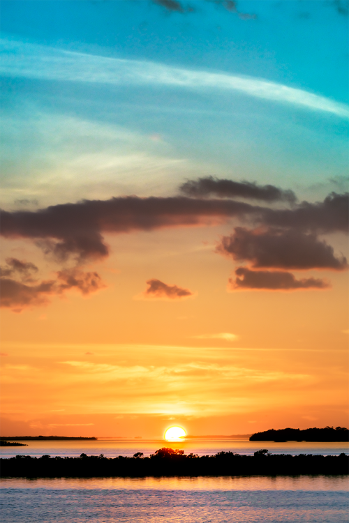 Resting on the Horizon V