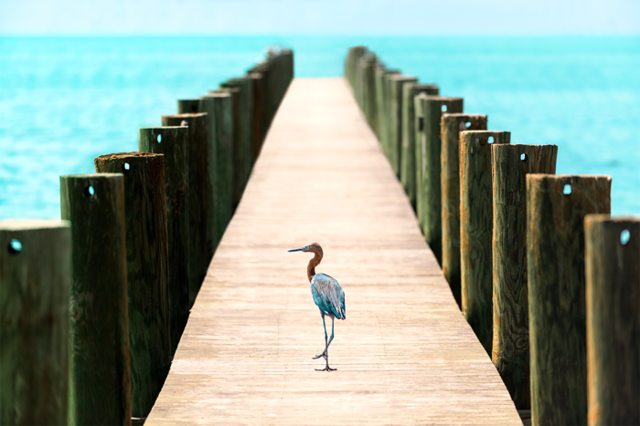 Road Less Traveled