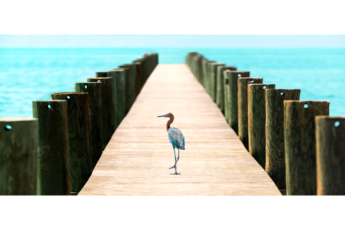 Road Less Traveled - Image 2