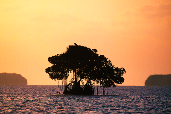 Sculpted by Nature