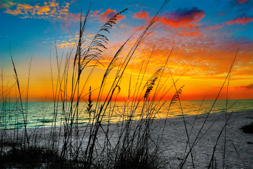 Sea of Dreams