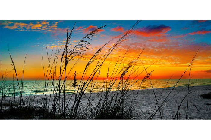 Sea of Dreams - Image 2