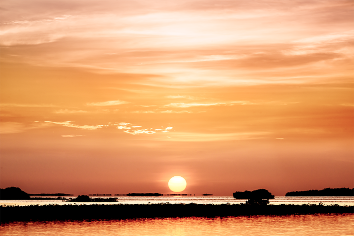 Sepia Sunset