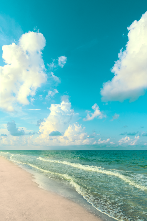 Serenity on the Shore