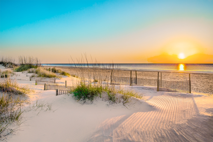 Shadows Along the Shore
