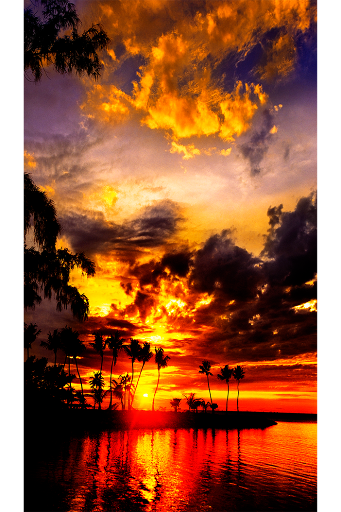 Silver Palm Sunset - Image 2