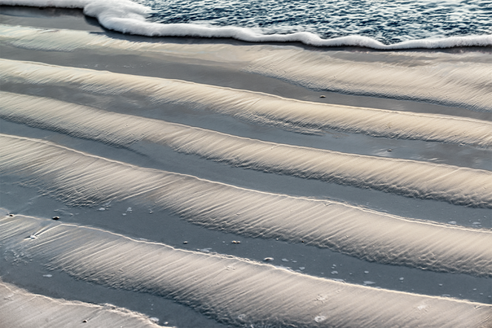 Silver Shores