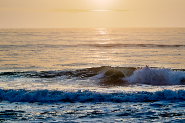 Silvery Shades of Dawn