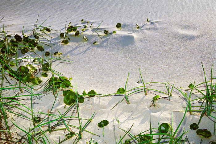Simplicity in the Sand
