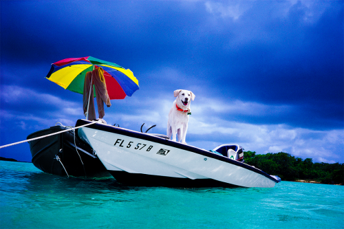 Snoopy