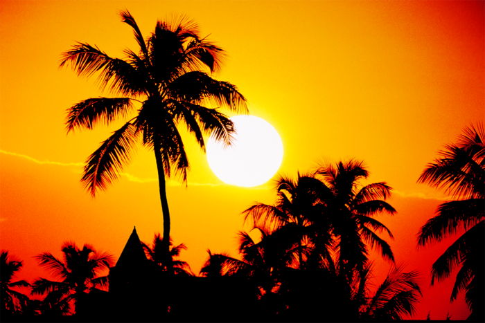 Southernmost Sunset