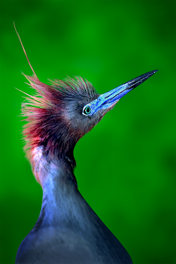 Spike