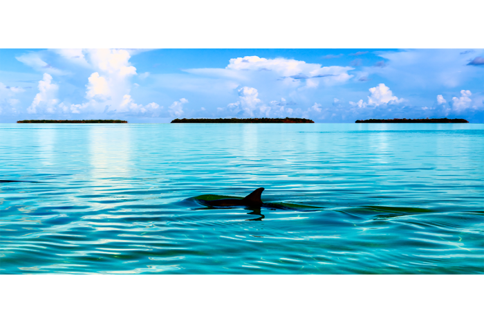 Spirit of the Sea - Image 2