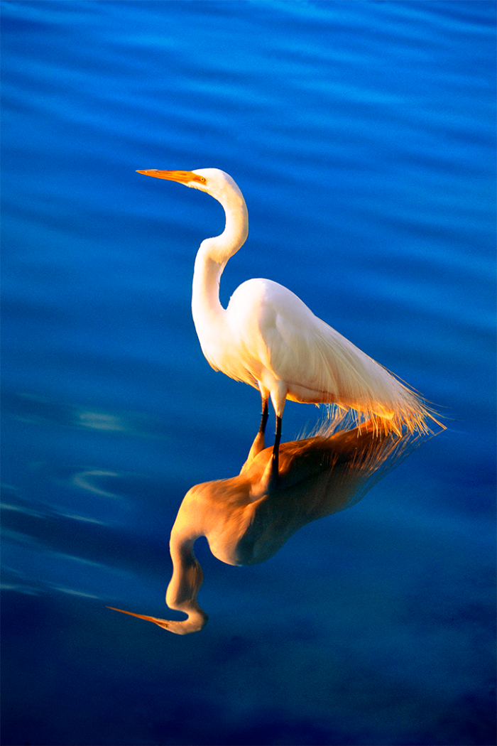 Still Waters